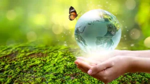 Sustainable Trends that go beyond ISO 14000