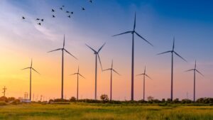 ISO 29400 - Revolutinizing Renewable Energy with Offshore Wind farms